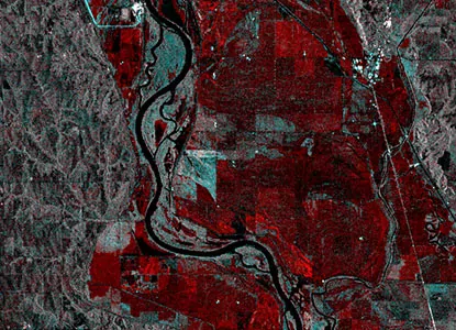 SAR time series imaging of crop damage