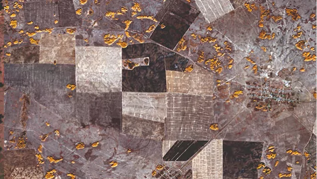 optical imagery of the agricultural fields after