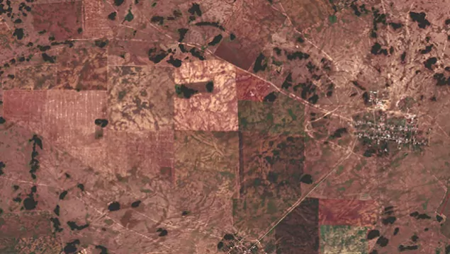 optical imagery of the agricultural fields before