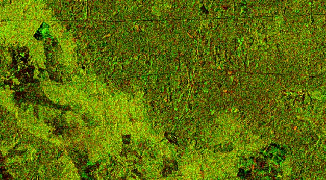changes in forest structure (green spots)